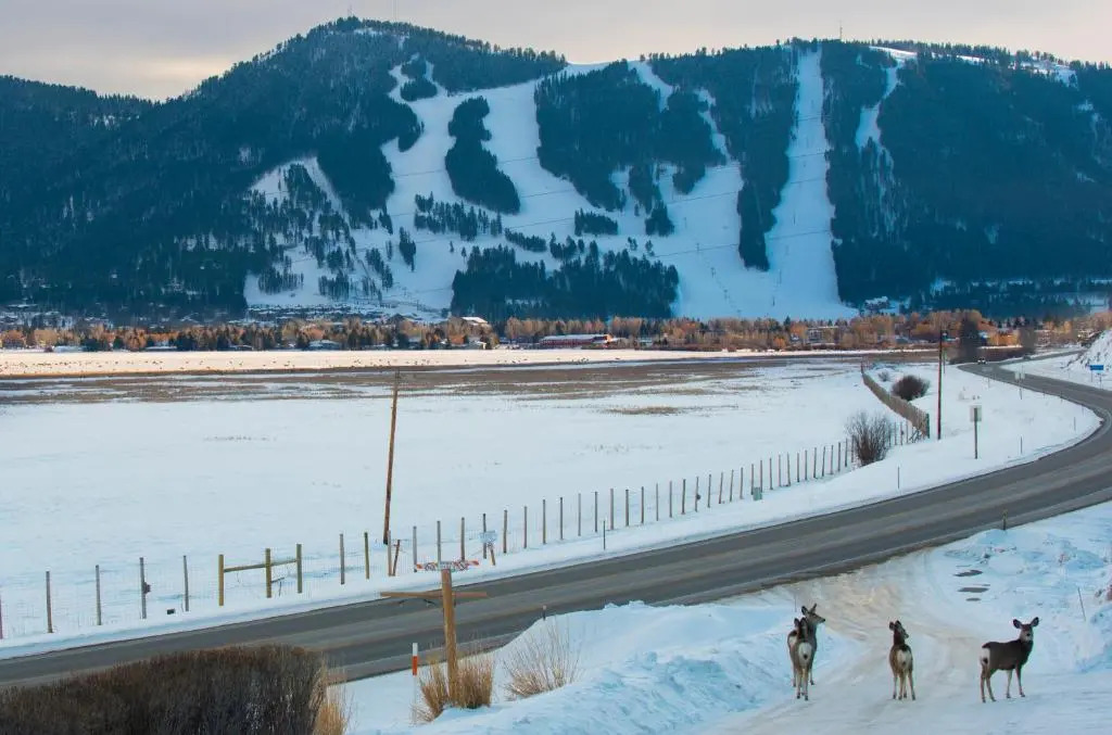 Elk Refuge Inn