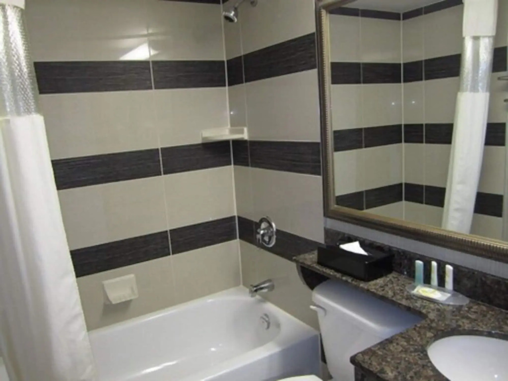 Comfort Suites Downtown