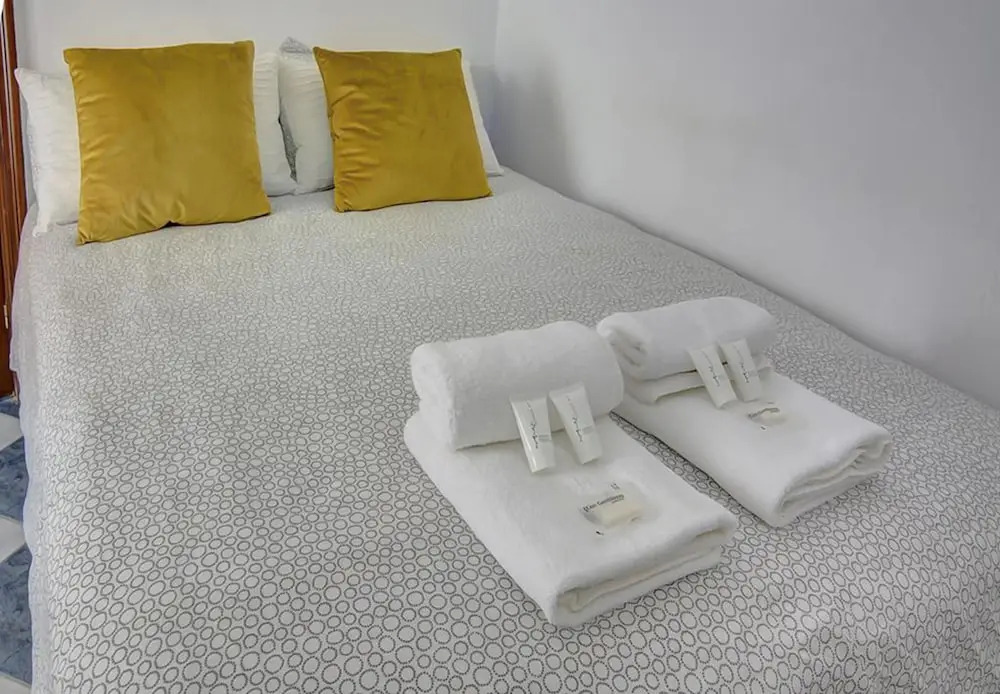 Deluxe Apartment Regla Sanz