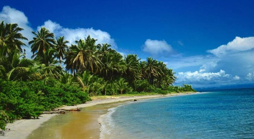 Stay Bocas