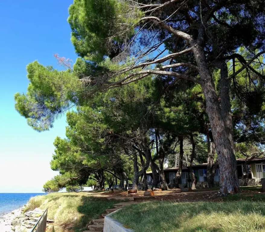 Family Bungalow Pineta
