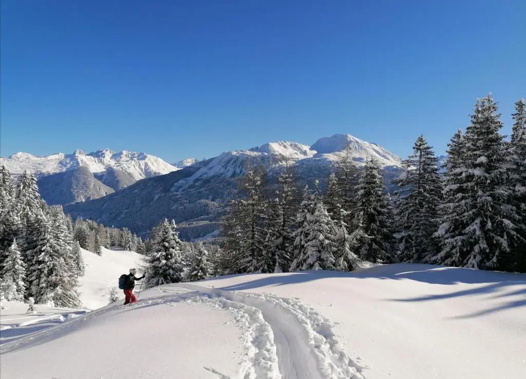 Bergperle Apartments & Mountain Sport