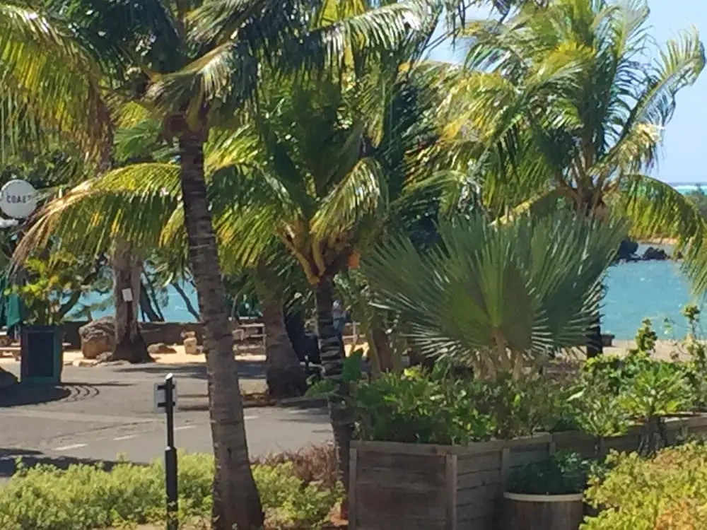 Apartment With 3 Bedrooms in Roches Noires, With Wonderful sea View, P