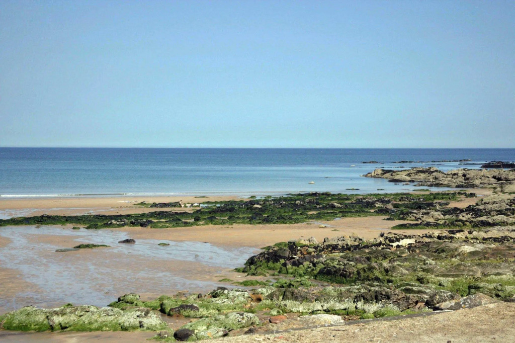 No12 Bed and Breakfast, St Andrews
