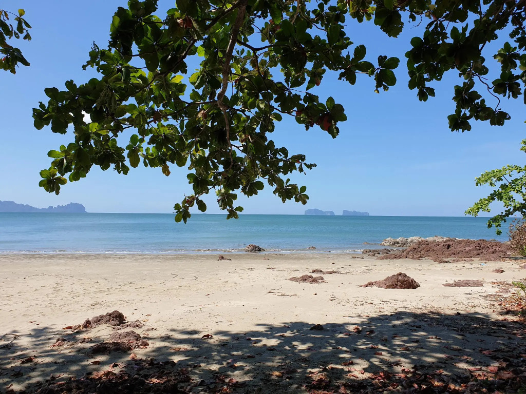 Cameron Island Resort