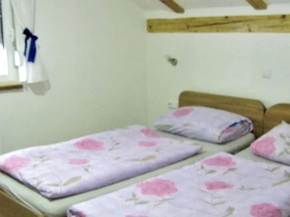 Apartment With 2 Bedrooms in Rakovica, With Wonderful Mountain View, F