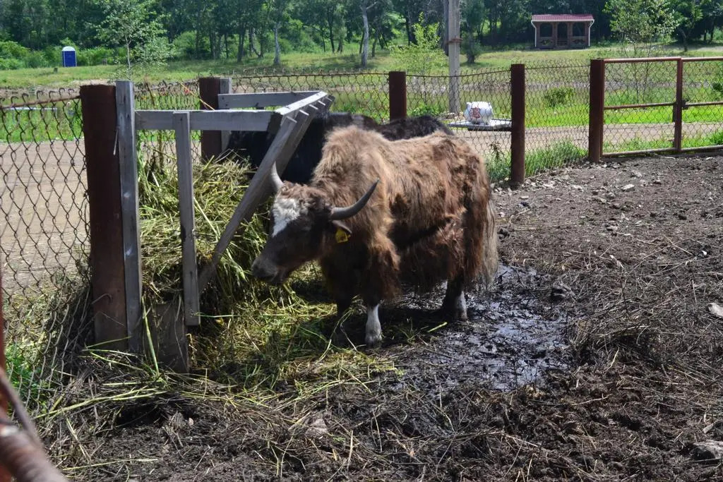 Cotteg na Eco Ferme