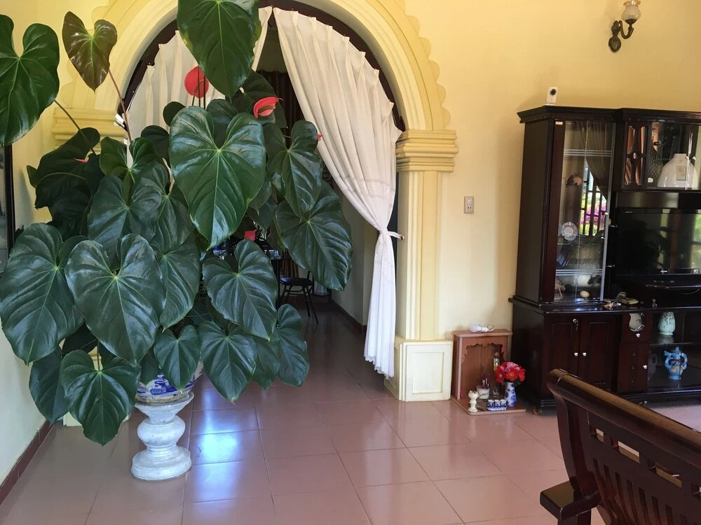 Doan's House
