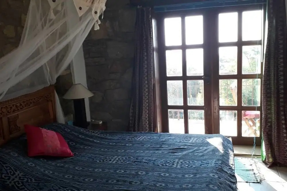 Lazy Lizard Boutique-Hotel