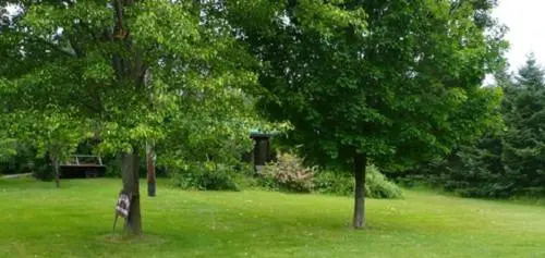 The South Glenora Tree Farm
