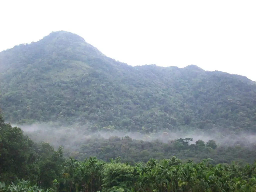 Great Hornbill Serviced Villa , Nilambur