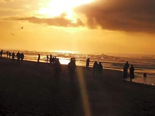 Zomerhuis B&B Noordwijk aan Zee 150m van strand Your Own Private Bubble