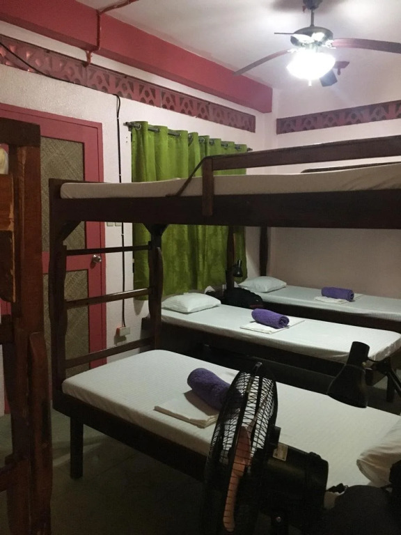 Elternative Hostel