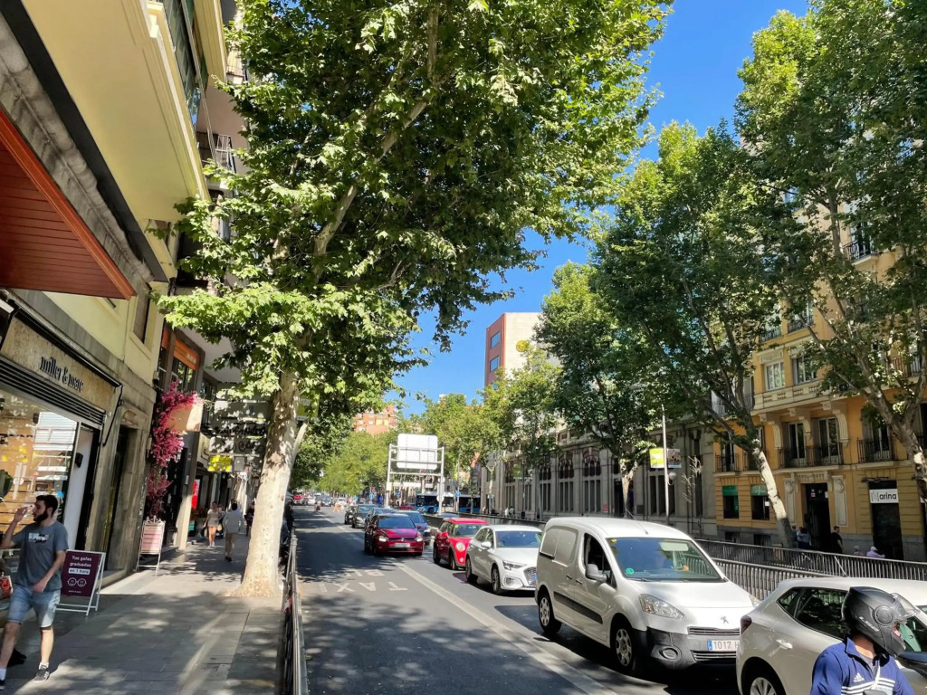 8-Estudio, Zona Chamberí, San Bernardo