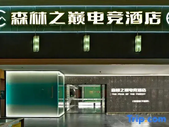 Top of the Forest Esports Hotel (Guangzhou Huashi Subway Station)