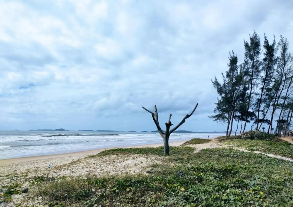 Meu lugar de Descanso