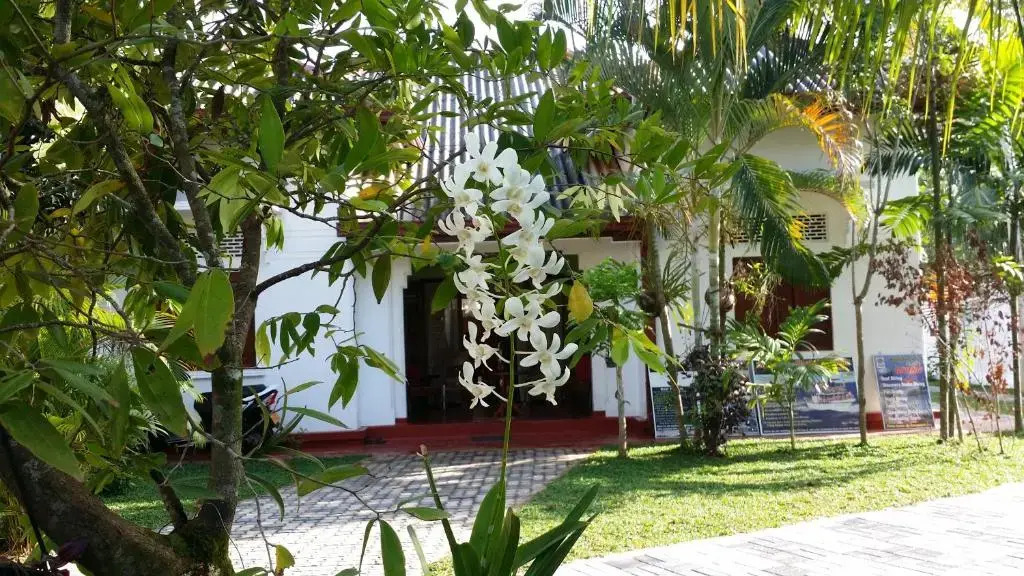 Tithira Guest House