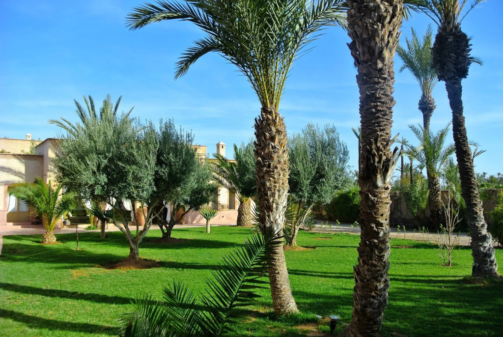 Dar 55 - Berber House - Boutique Hôtel & SPA