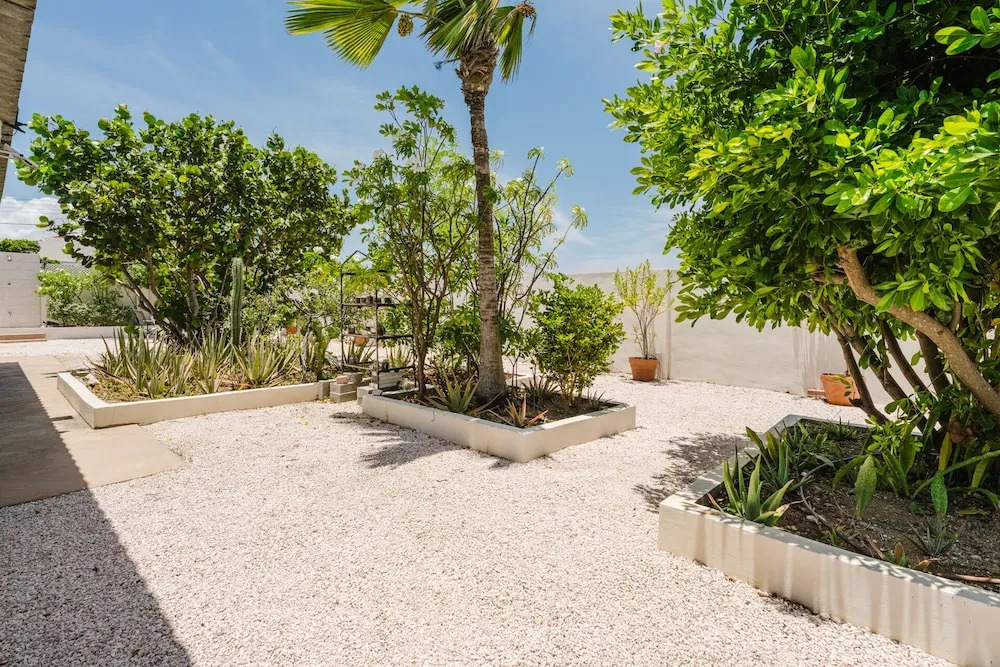 Mangel Halto Aruba one Minute Walk to Beach Apt1