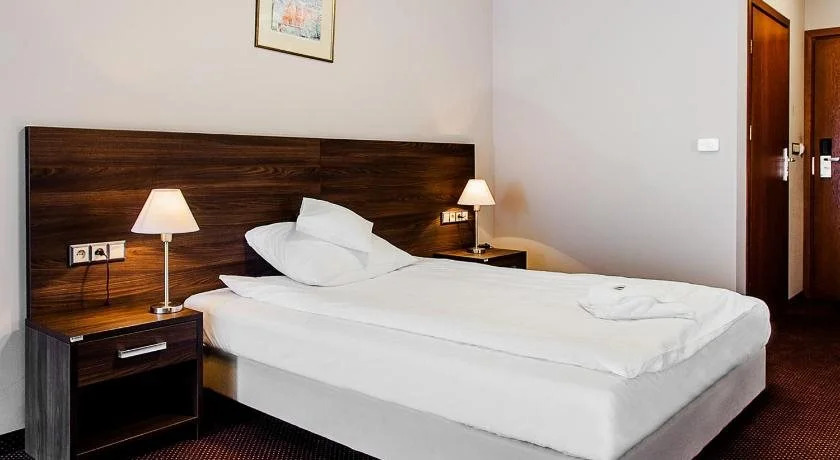 Hotel Viki