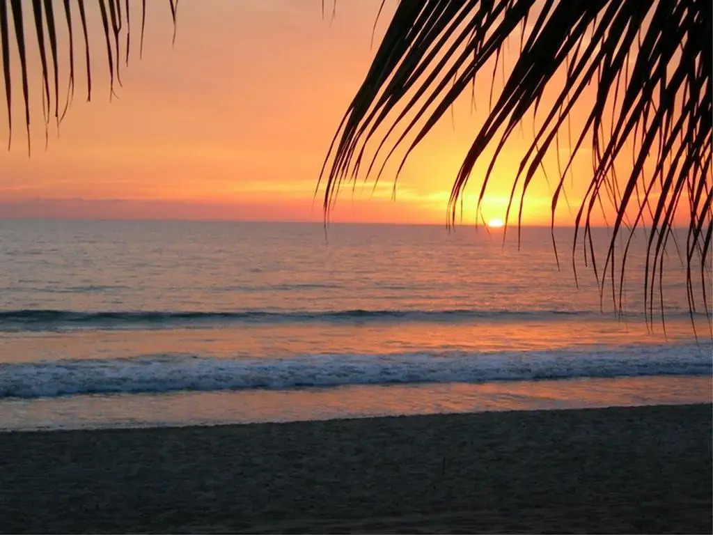 Suites Costa Dorada