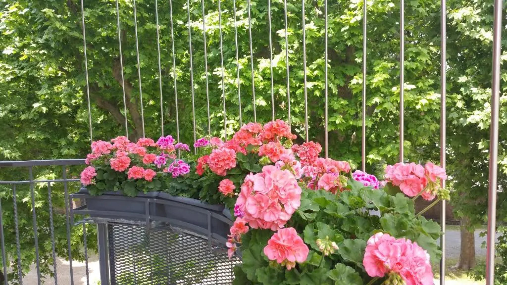B&B LeTerrazze Boutique Hotel - Torino
