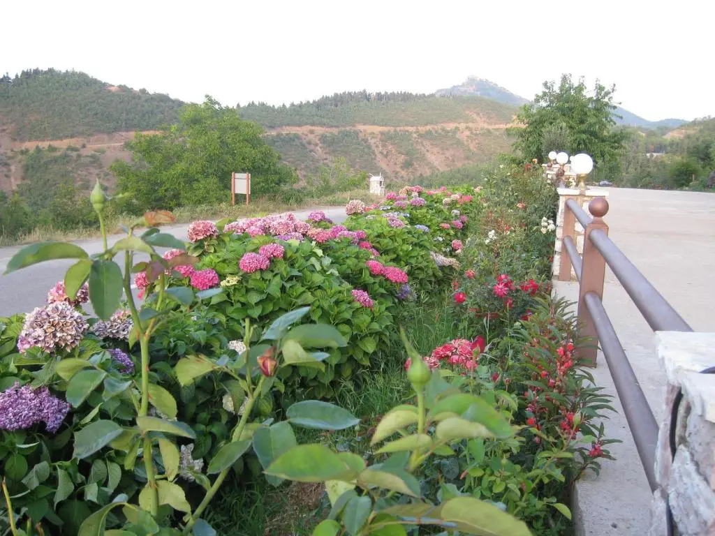 Guesthouse Moucha