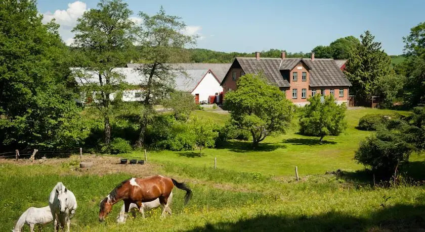 Trangemosegaard
