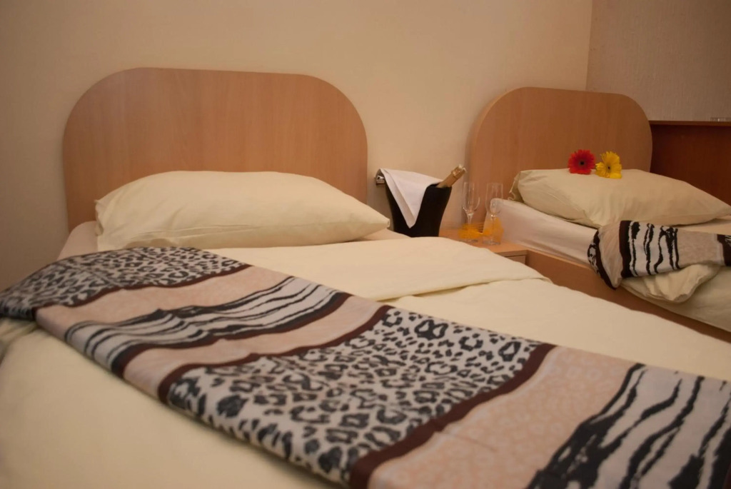 Hostel Fortuna