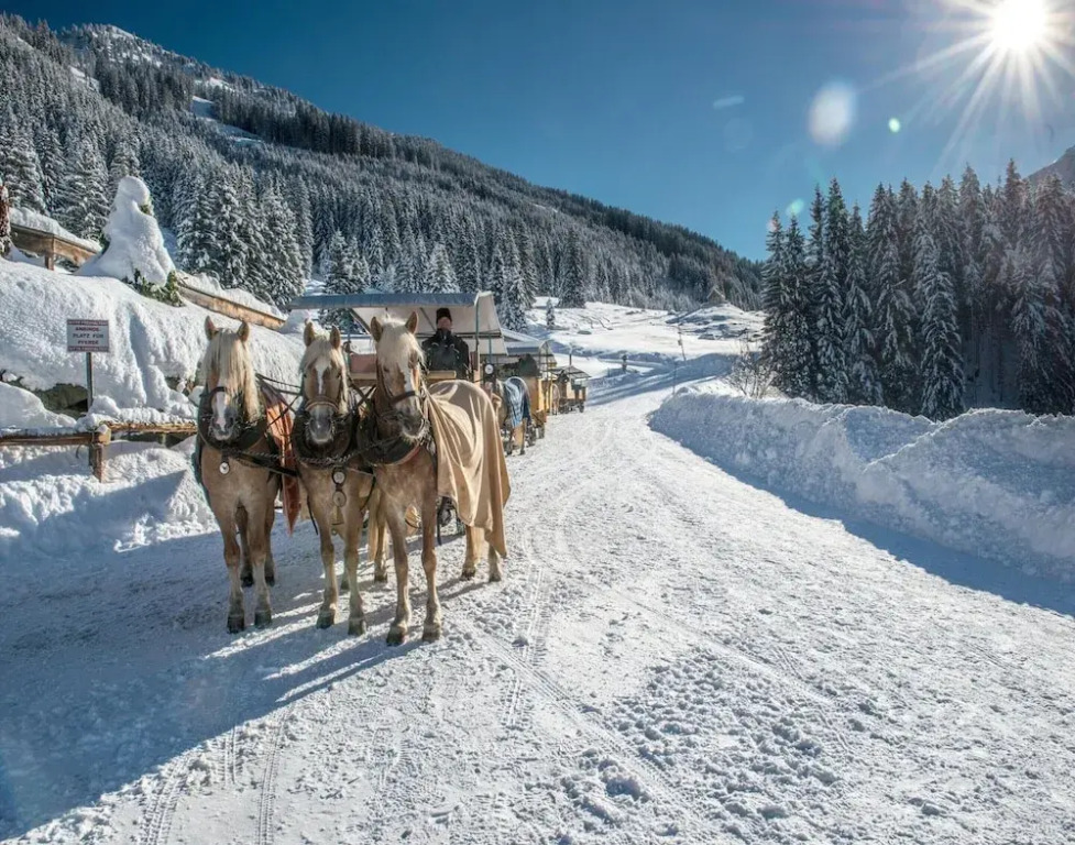 Feriendorf Wildschönau in Kitzbühel Alps
