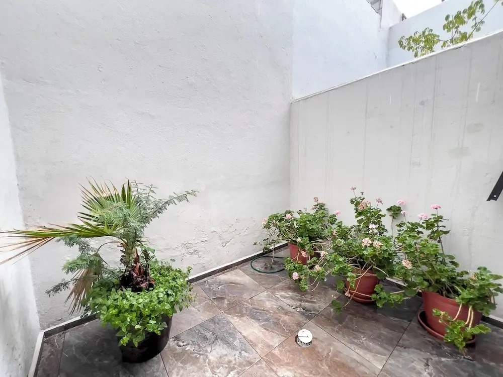 Casa Morelos