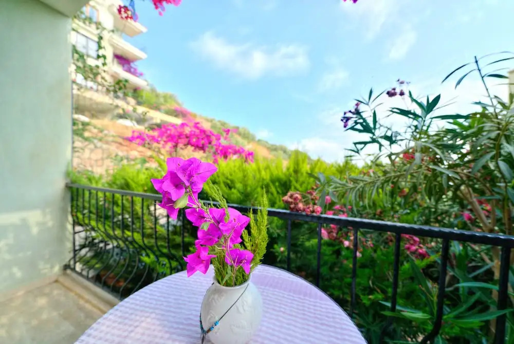 Vena Apartment