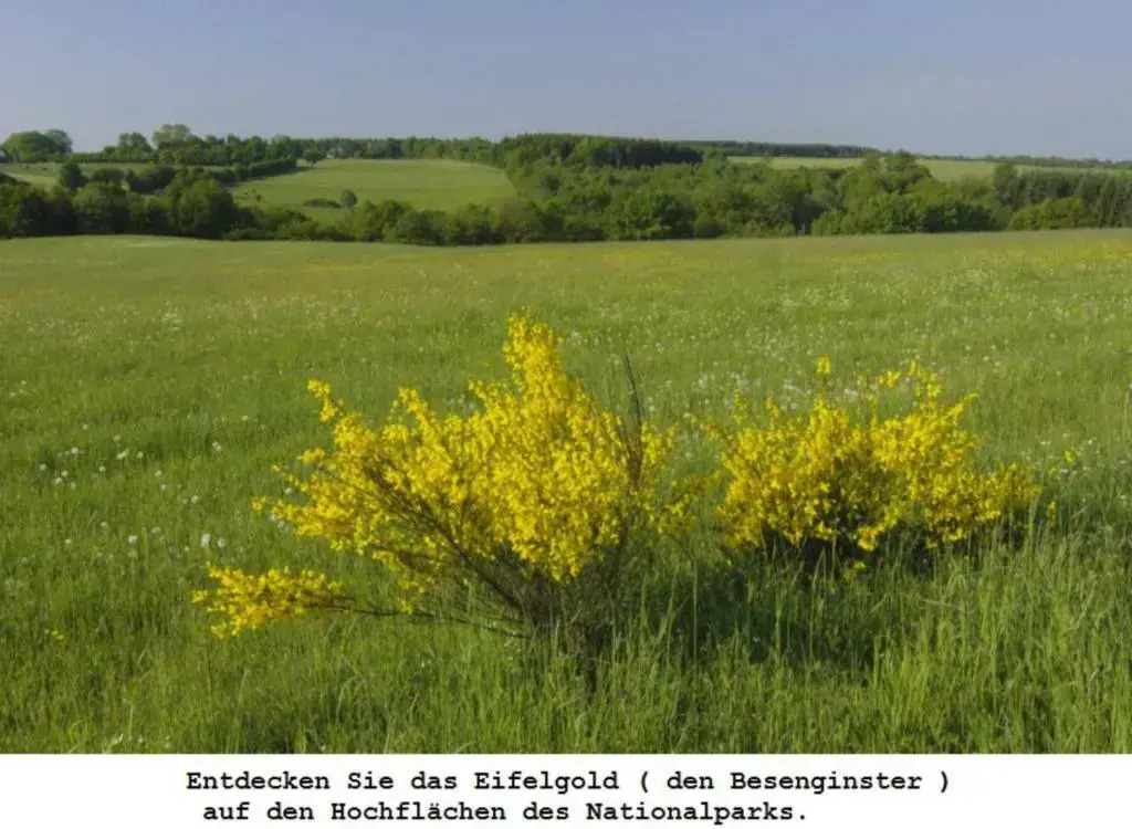 Ferienwohnung Gross B