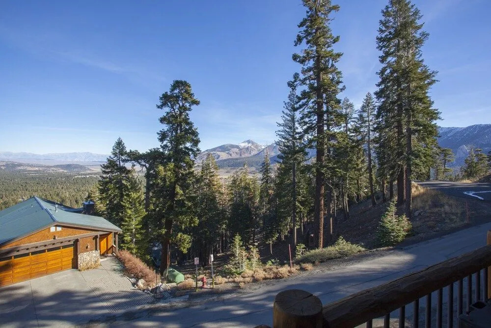 Timber Ridge 11