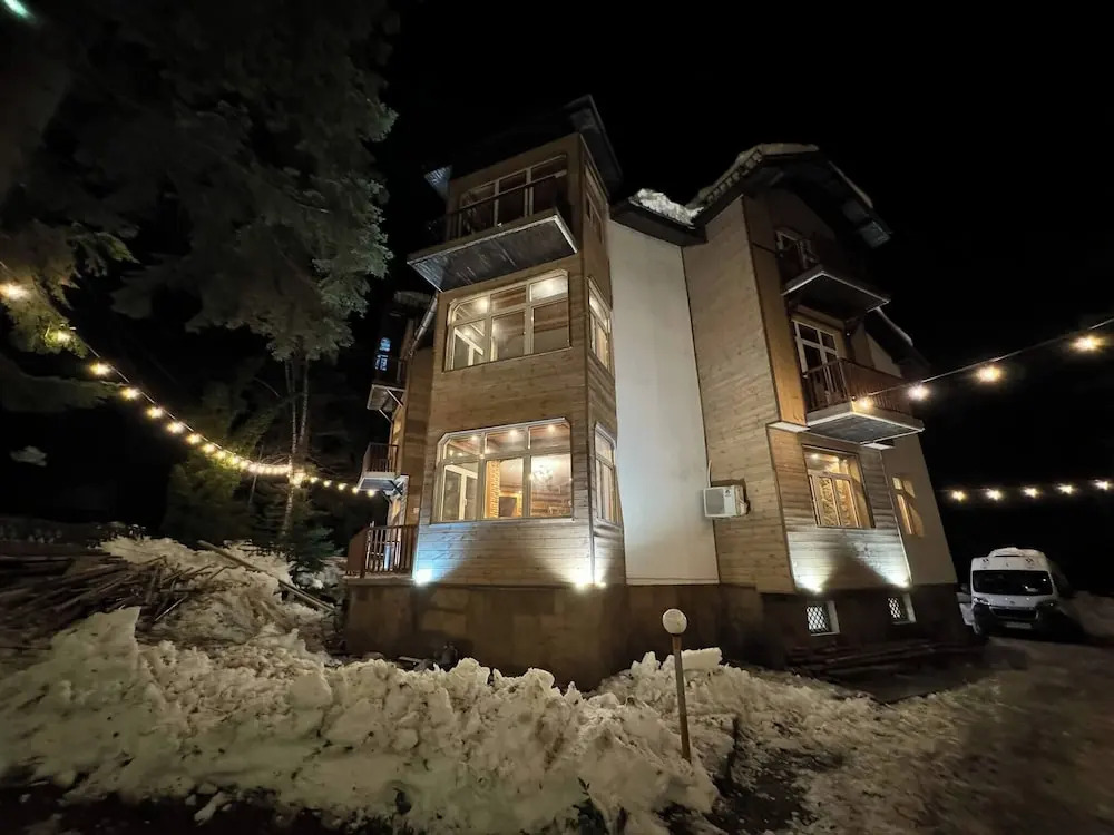 The Luxurious Forest Villa Borovets1
