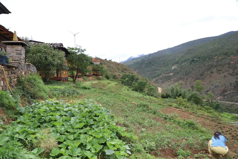 Wangdue Ecolodge