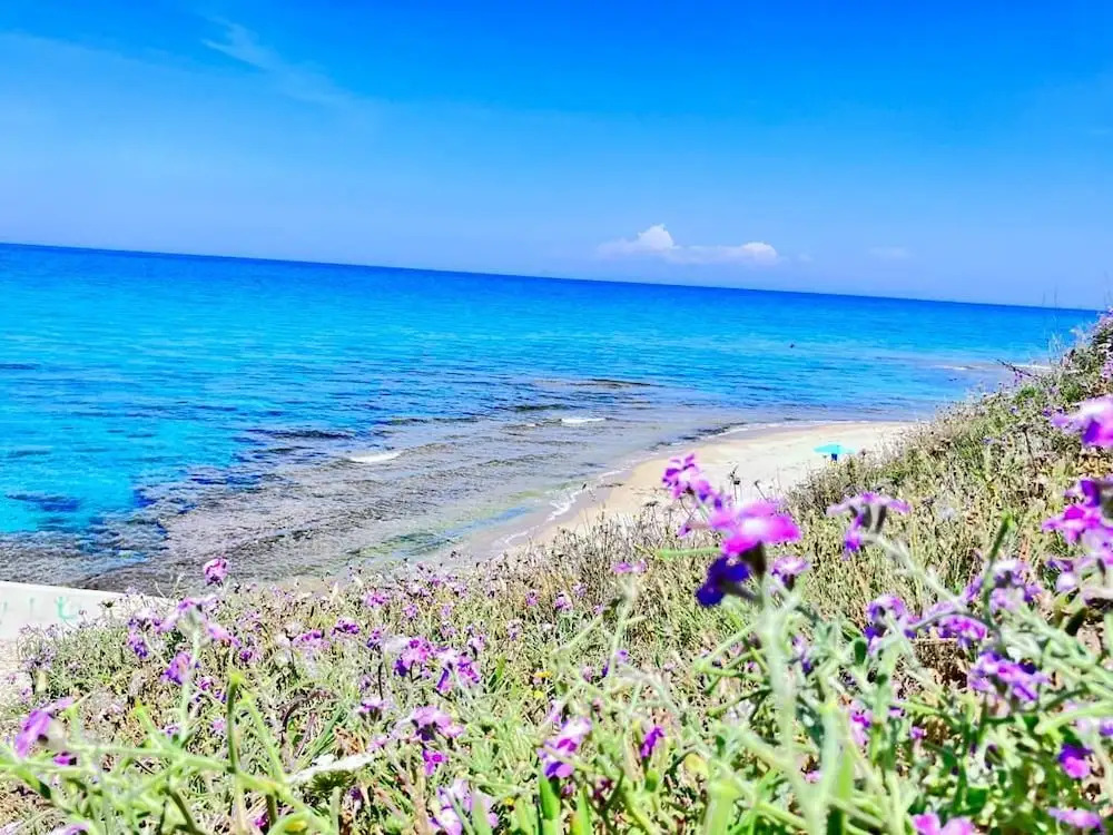 Sea View House 3 Panorama, Nature, Sun, Peace