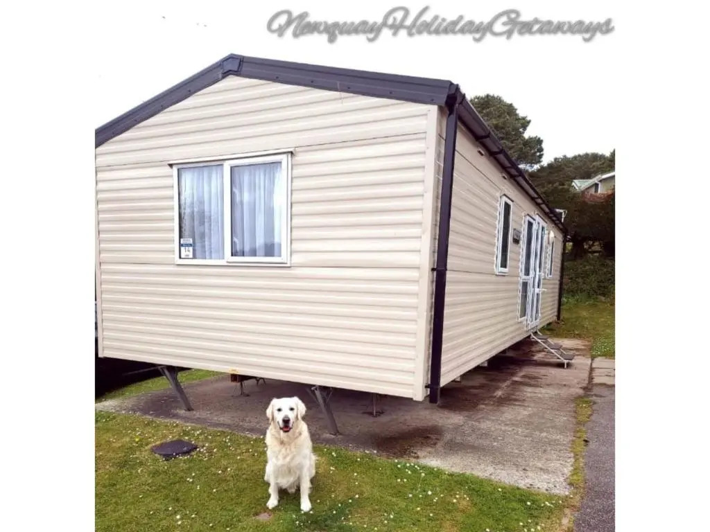 Dog Friendly 8 Berth Static Caravan Newquay
