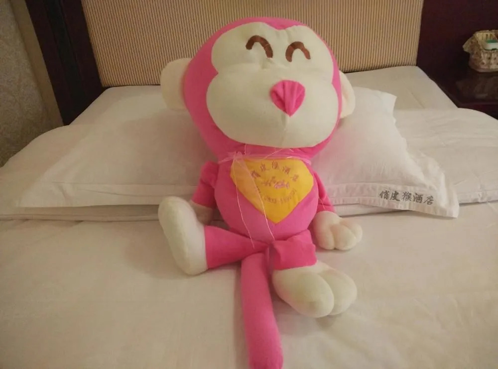 Witty Monkey Hotel