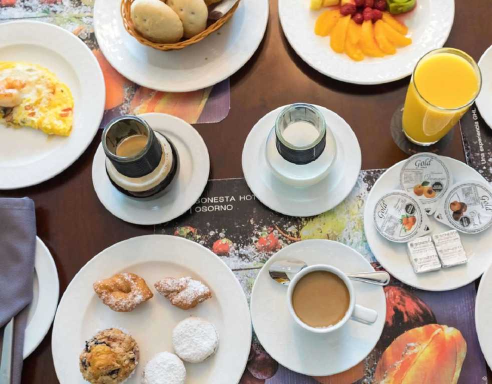 Sonesta Hotel Osorno