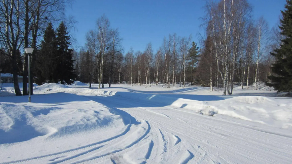 Hotel Yöpuu