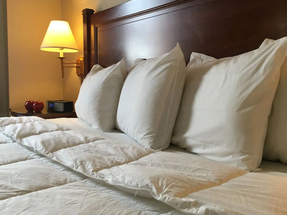 亚伯拉罕林肯酒店(The Abraham Lincoln Hotel)