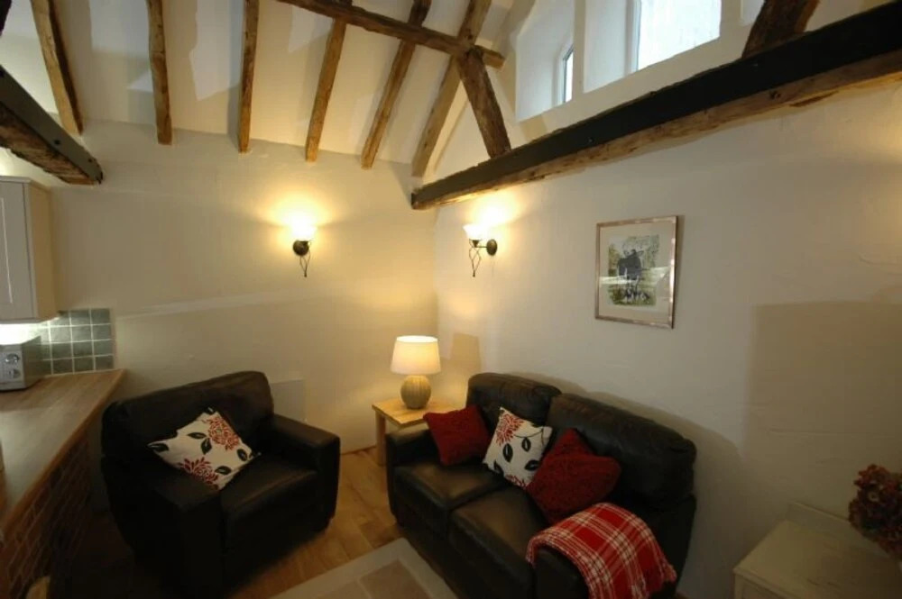 The Mouse House