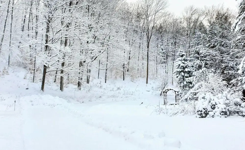 Winter Lore