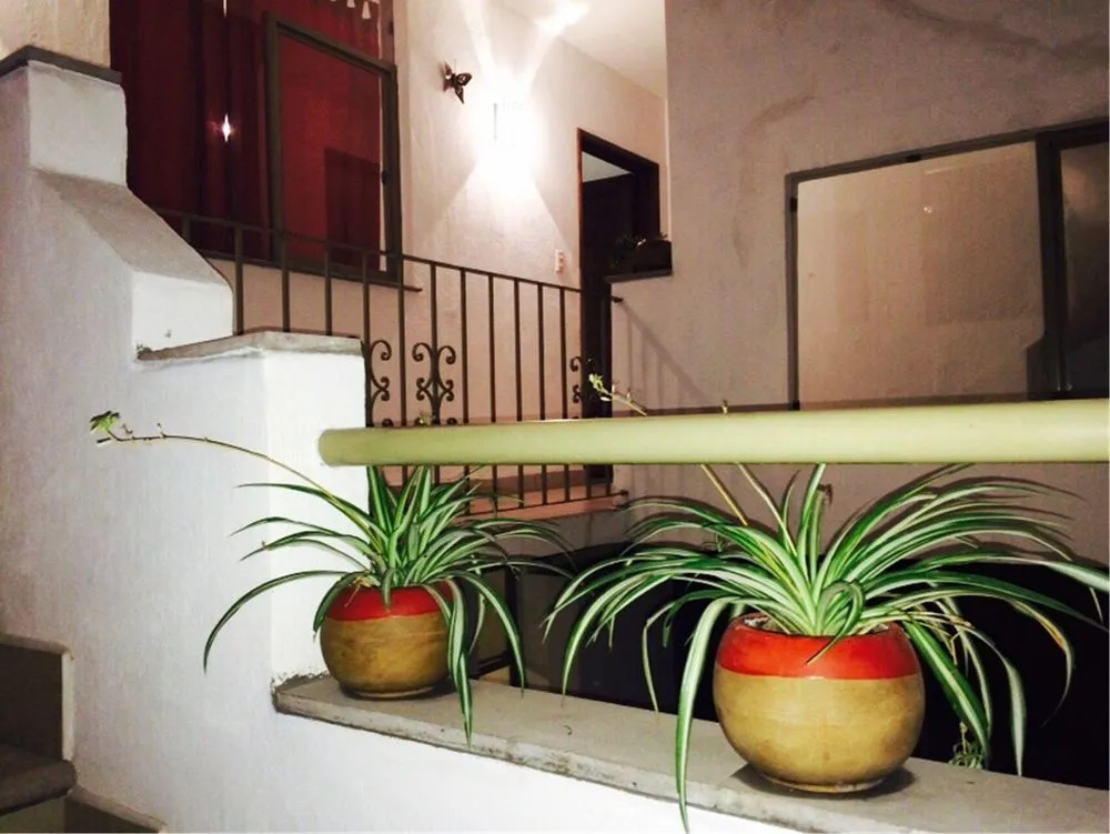 Casa María José