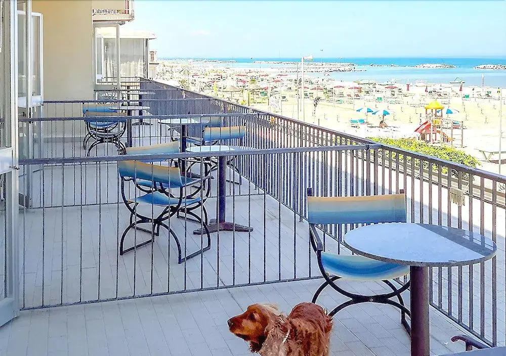 Nautic Beach Hotel