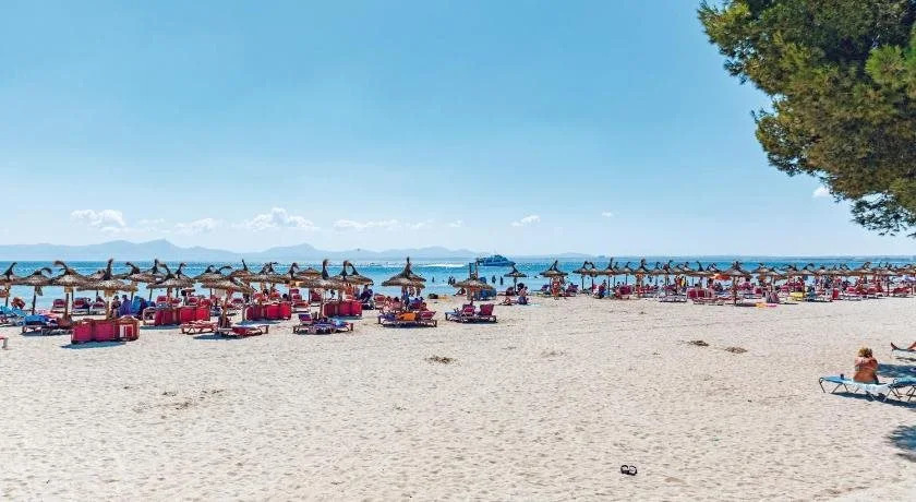 Sofia Alcudia Beach