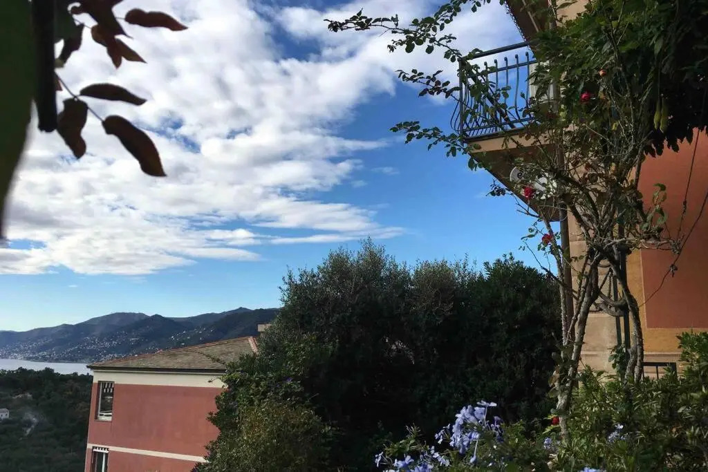 See view apartment next to the Portofino Park