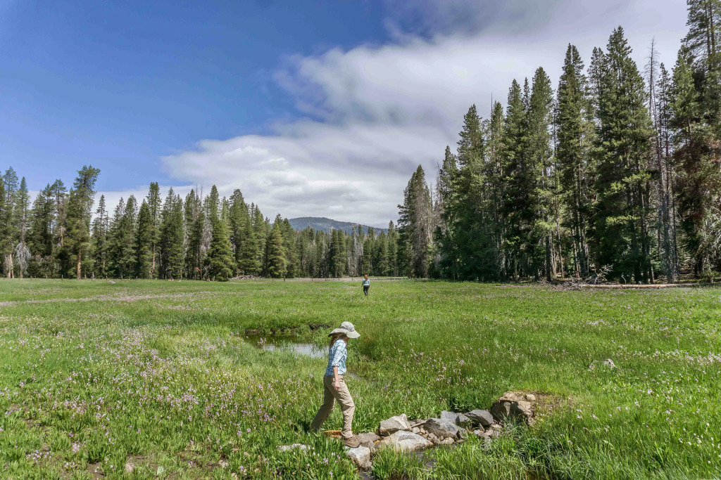 Holiday Inn Express & Suites Oakhurst-Yosemite Park Area by IHG