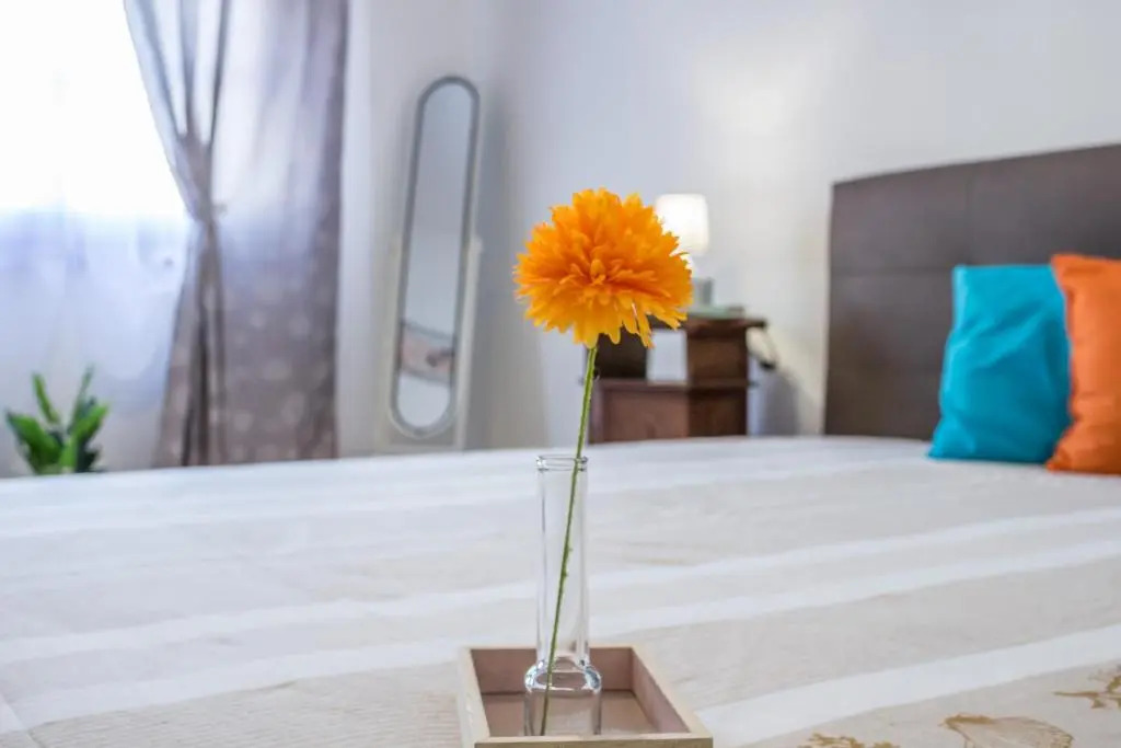 Maricciolu suites and apartments